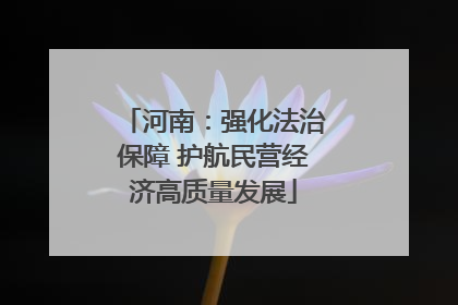 河南：强化法治保障 护航民营经济高质量发展