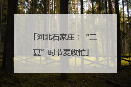 河北石家庄：“三夏”时节麦收忙