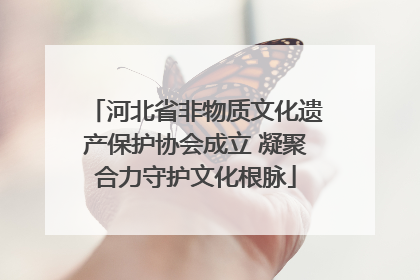 河北省非物质文化遗产保护协会成立 凝聚合力守护文化根脉