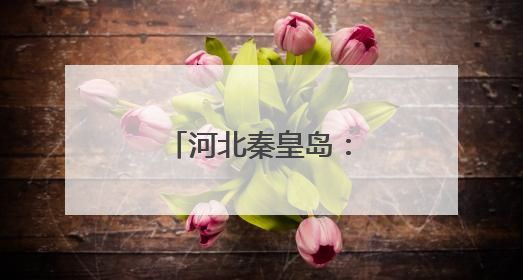 河北秦皇岛：外国留学生“花样”迎端午
