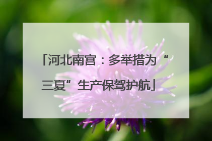 河北南宫：多举措为“三夏”生产保驾护航