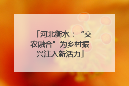 河北衡水：“交农融合”为乡村振兴注入新活力