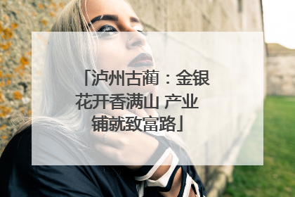 泸州古蔺：金银花开香满山 产业铺就致富路