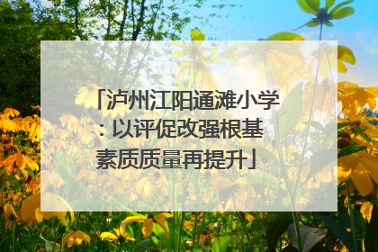 泸州江阳通滩小学：以评促改强根基 素质质量再提升