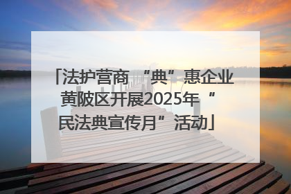 法护营商 “典”惠企业 黄陂区开展2025年“民法典宣传月”活动