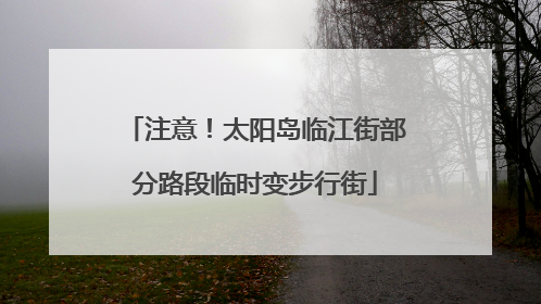 注意！太阳岛临江街部分路段临时变步行街