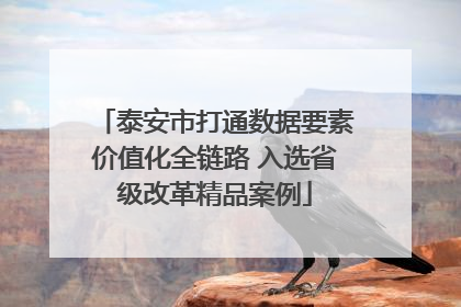 泰安市打通数据要素价值化全链路 入选省级改革精品案例
