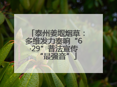 泰州姜堰烟草：多维发力奏响“6·29”普法宣传“最强音”