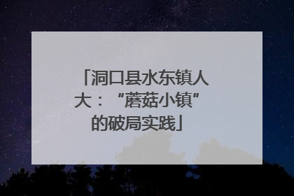 洞口县水东镇人大：“蘑菇小镇”的破局实践