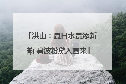 洪山：夏日水景添新韵 碧波粉黛入画来