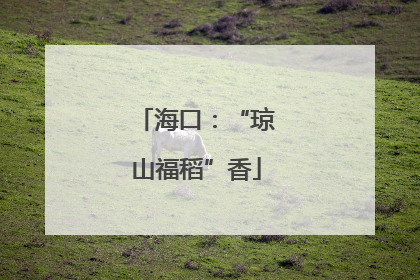 海口：“琼山福稻”香