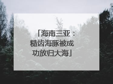 海南三亚：糙齿海豚被成功放归大海