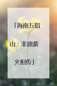 海南五指山：非遗薪火相传
