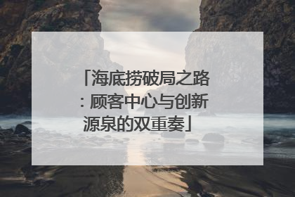 海底捞破局之路：顾客中心与创新源泉的双重奏