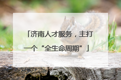 济南人才服务，主打一个“全生命周期”