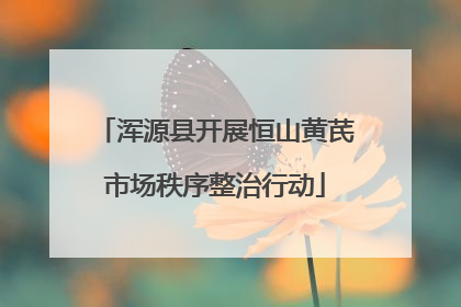 浑源县开展恒山黄芪市场秩序整治行动