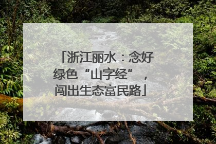 浙江丽水：念好绿色“山字经”，闯出生态富民路