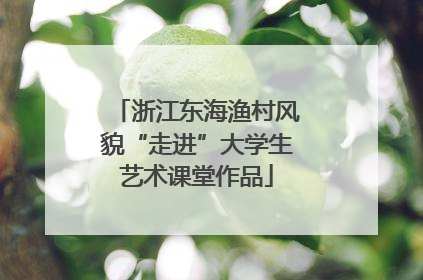 浙江东海渔村风貌“走进”大学生艺术课堂作品