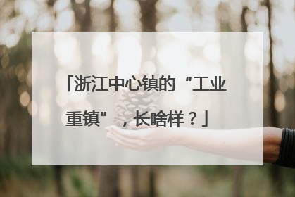 浙江中心镇的“工业重镇”，长啥样？
