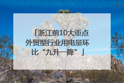 浙江前10大重点外贸型行业用电量环比“九升一降”