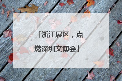 浙江展区，点燃深圳文博会
