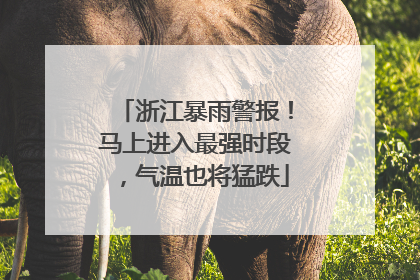 浙江暴雨警报！马上进入最强时段，气温也将猛跌