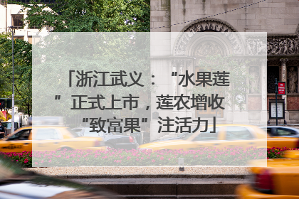 浙江武义：“水果莲”正式上市，莲农增收“致富果”注活力