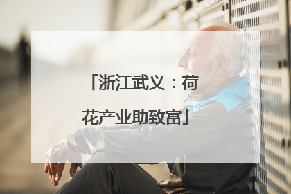 浙江武义：荷花产业助致富