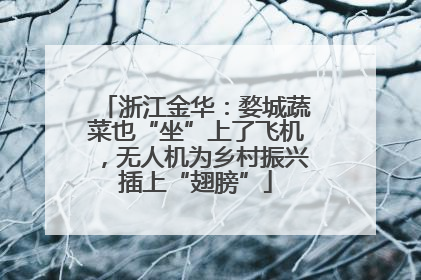 浙江金华：婺城蔬菜也“坐”上了飞机，无人机为乡村振兴插上“翅膀”