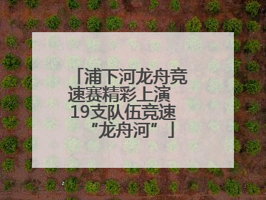 浦下河龙舟竞速赛精彩上演 19支队伍竞速“龙舟河”