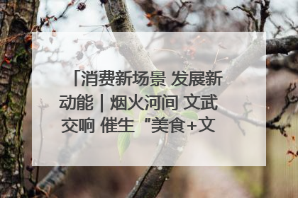 消费新场景 发展新动能｜烟火河间 文武交响 催生“美食+文化”消费新场景