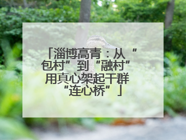 淄博高青：从“包村”到“融村” 用真心架起干群“连心桥”