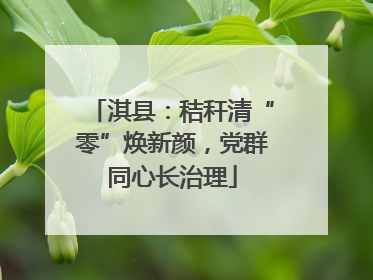 淇县：秸秆清“零”焕新颜，党群同心长治理