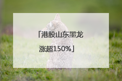港股山东墨龙涨超150%