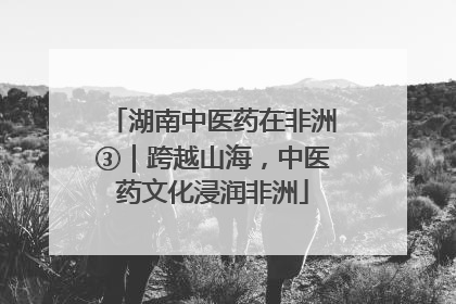 湖南中医药在非洲③｜跨越山海，中医药文化浸润非洲