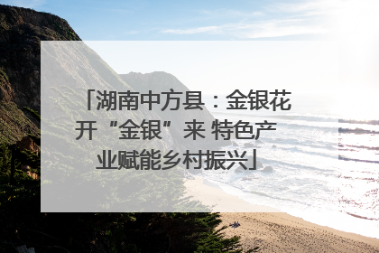 湖南中方县：金银花开“金银”来 特色产业赋能乡村振兴