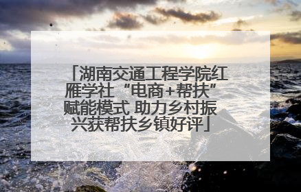 湖南交通工程学院红雁学社“电商+帮扶”赋能模式 助力乡村振兴获帮扶乡镇好评