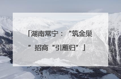湖南常宁：“筑金巢”招商“引雁归”