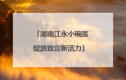 湖南江永小碗莲绽放致富新活力