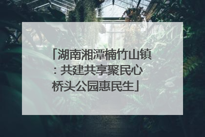 湖南湘潭楠竹山镇：共建共享聚民心 桥头公园惠民生