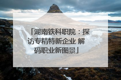 湖南铁科职院：探访专精特新企业 解码职业新图景
