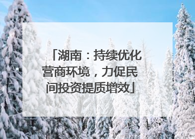 湖南：持续优化营商环境，力促民间投资提质增效