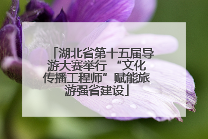 湖北省第十五届导游大赛举行 “文化传播工程师”赋能旅游强省建设