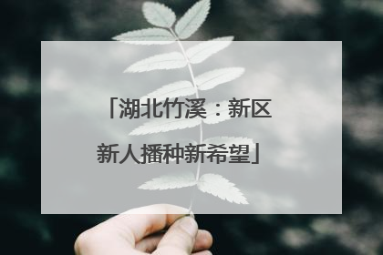 湖北竹溪：新区新人播种新希望