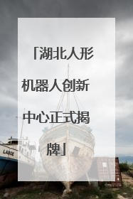 湖北人形机器人创新中心正式揭牌