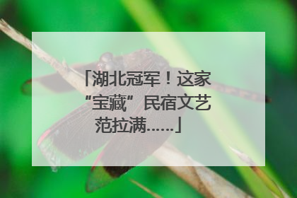 湖北冠军！这家“宝藏”民宿文艺范拉满……
