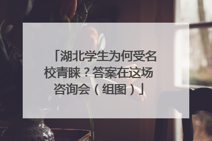 湖北学生为何受名校青睐？答案在这场咨询会（组图）