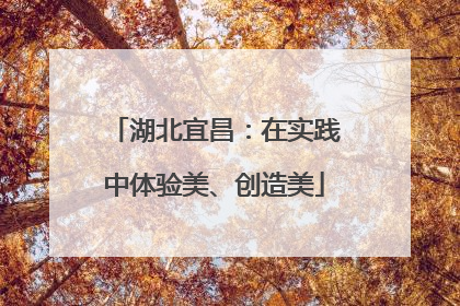 湖北宜昌：在实践中体验美、创造美