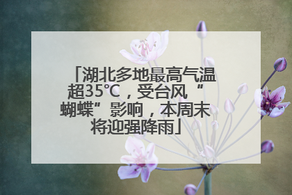 湖北多地最高气温超35℃，受台风“蝴蝶”影响，本周末将迎强降雨