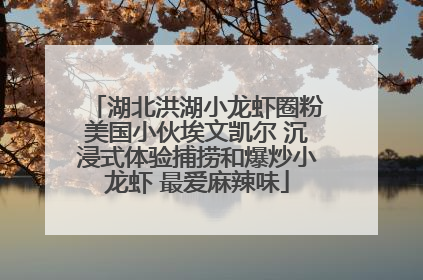 湖北洪湖小龙虾圈粉美国小伙埃文凯尔 沉浸式体验捕捞和爆炒小龙虾 最爱麻辣味
